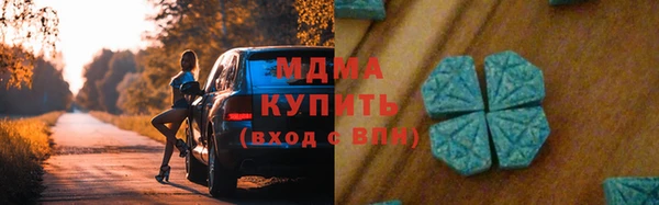 хмурый Арсеньев