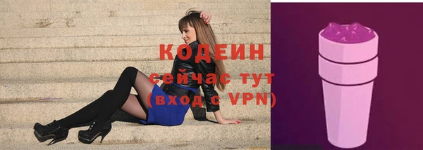 хмурый Арсеньев