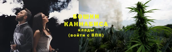 хмурый Арсеньев