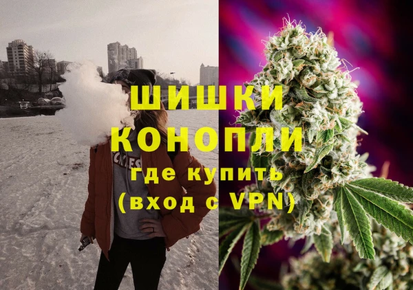 гидра Аркадак