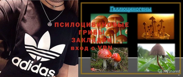 гидра Аркадак