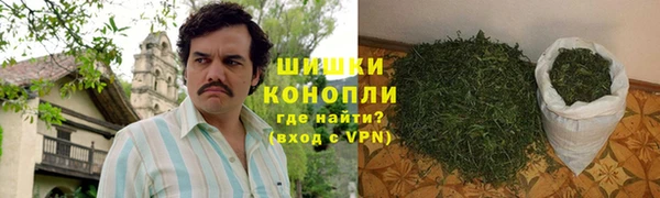 хмурый Арсеньев